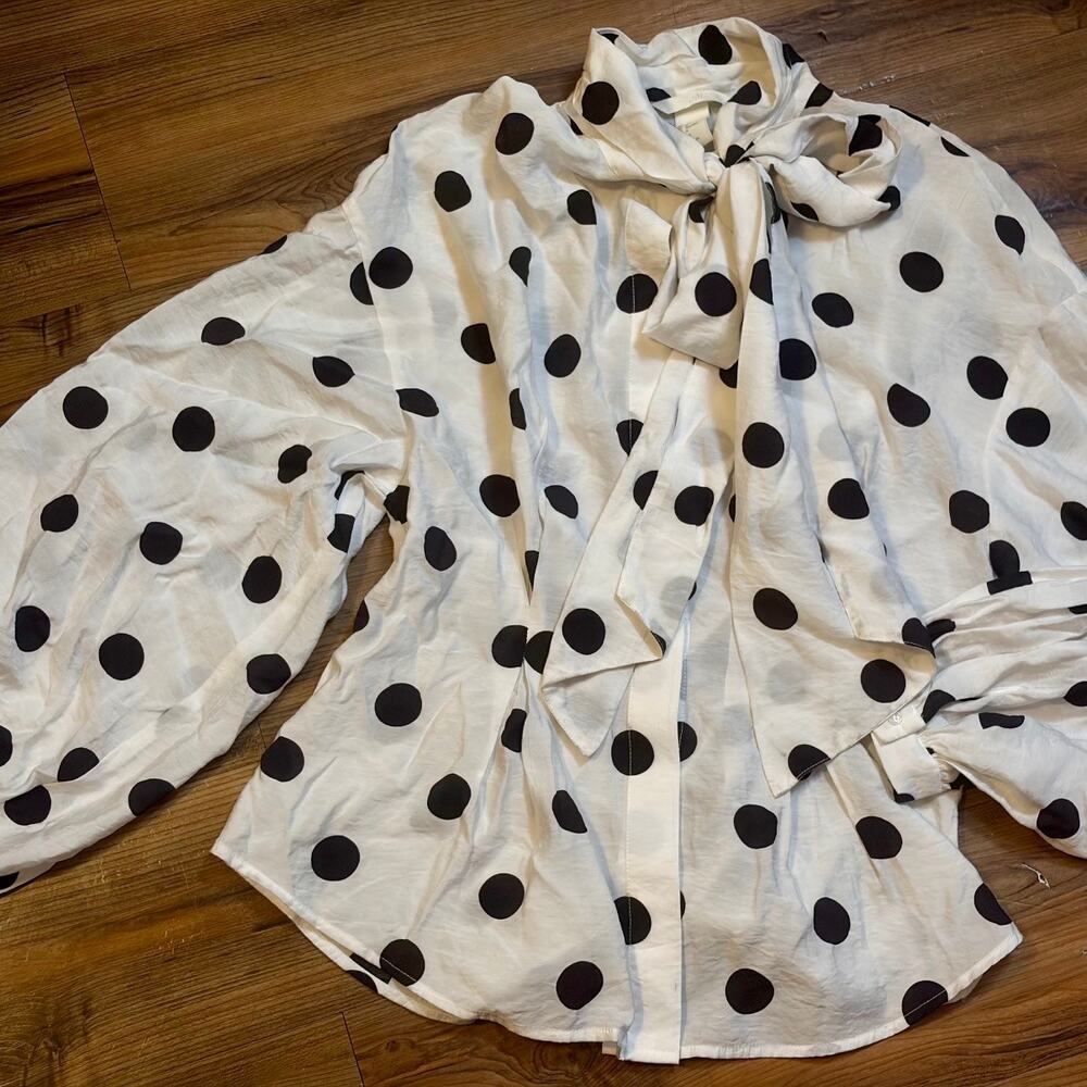 Tie Neck Polka Dot Blouse from H&M - Picture 3 of 10